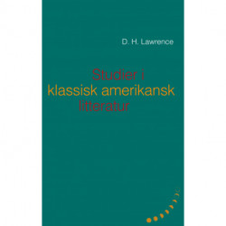 Studier i klassisk amerikansk litteratur (1923)