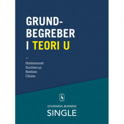 Grundbegreber i Teori U