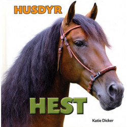 Hest