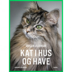 Kat i hus og have