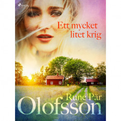 Ett mycket litet krig