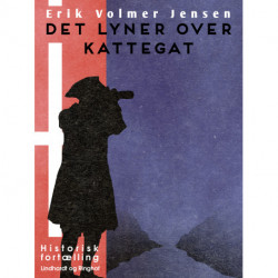 Det lyner over Kattegat