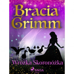 Wróżka Skoronóżka