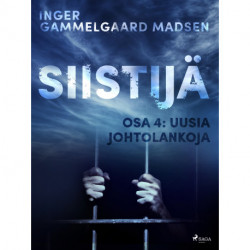 Siistijä 4: Uusia johtolankoja