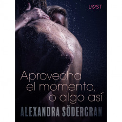 Aprovecha el momento, o algo así - Relato erótico