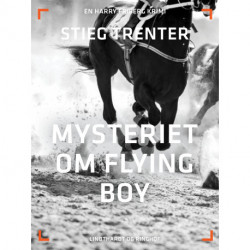 Mysteriet om Flying Boy