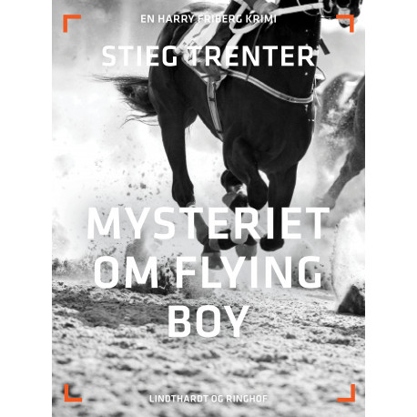 Mysteriet om Flying Boy