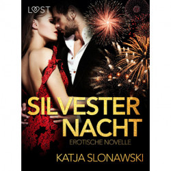 Silvesternacht: Erotische Novelle