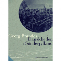 Danskheden i Sønderjylland