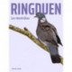 Ringduen