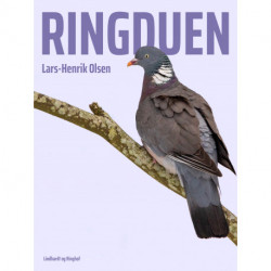 Ringduen