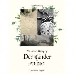 Der stander en bro