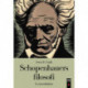 Schopenhauers Filosofi: - En introduktion