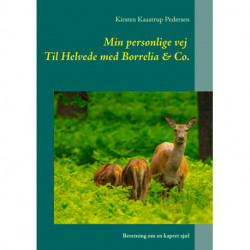 Min personlige vej  Til Helvede med Borrelia & Co.: Beretning om en kapret sjæl