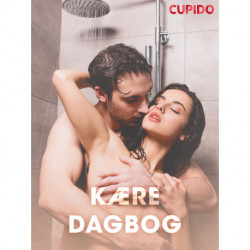 Kære dagbog – erotiske noveller