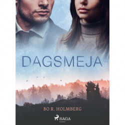 Dagsmeja