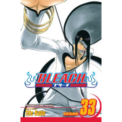 Bleach, Vol. 33: The Bad Joke