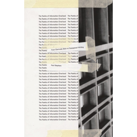 The Poetics of Information Overload: From Gertrude Stein to Conceptual Writing