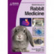BSAVA Manual of Rabbit Medicine