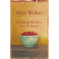 Anything We Love Can Be Saved