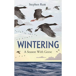 Wintering: A Season With Geese - The perfect stocking filler the bird lover in your life