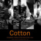 Cotton: Companies, Fashion & The Fabric of Our Lives