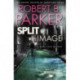 Split Image: A Jesse Stone Mystery
