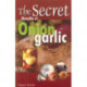 Secret Benefits of Onion & Garlic