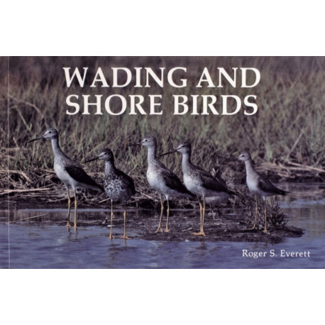 Wading and Shore Birds: A Photographic Study