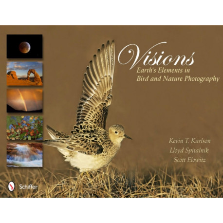 Visions: Earth's Elements in Bird and Nature Photography: Earth's Elements in Bird and Nature Photography