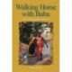 Walking Home with Baba: The Heart of Spiritual Practice