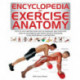 Encyclopedia of Exercise Anatomy