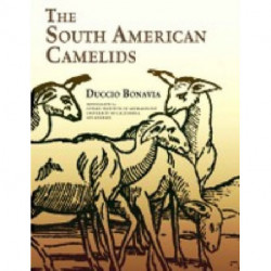The South American Camelids