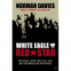 White Eagle, Red Star: The Polish-Soviet War 1919-20