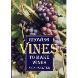 Growing Vines to Make Wines