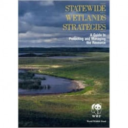 Statewide Wetlands Strategies