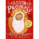 The The Christmas Promise Advent Calendar: Includes 32-page book of family devotions