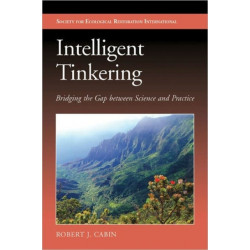 Intelligent Tinkering: Bridging the Gap between Science and Practice