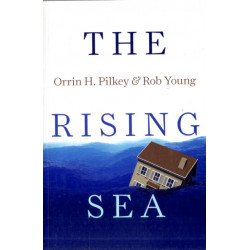 The Rising Sea