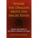 Where the Dragon Meets the Angry River: Nature and Power in the People's Republic of China