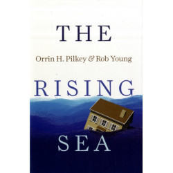 The Rising Sea