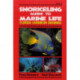 Snorkeling Guide to Marine Life: Florida, Caribbean, Bahamas