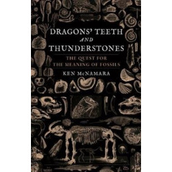 Dragons’ Teeth and Thunderstones: The Quest for the Meaning of Fossils
