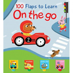 ON THE GO 100 FLAPS TO LEARN