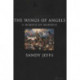 The Wings of Angels: A Memoir of Madness