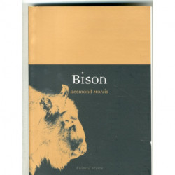 Bison