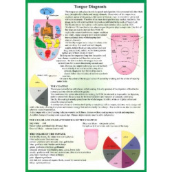 Tongue Diagnosis -- A4