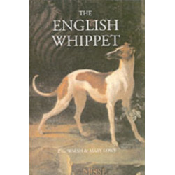 The English Whippet