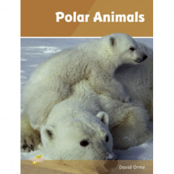 Polar Animals: Set 4