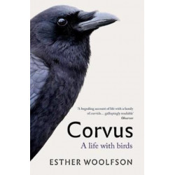 Corvus: A Life With Birds